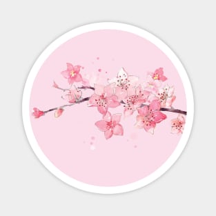 Cherry Blossom branch - watercolor pink | flower floral sakura | aesthetic Japan Magnet